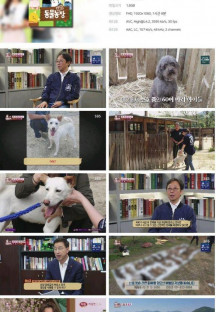 TV 동물농장.E1122.230528.1080p.H264-F1RST.mp4