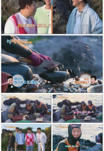 1박 2일 시즌4.E129.220612.1080p.H264-F1RST.mp4