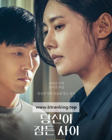 당신이 잠든 사이 While.You.Were.Sleeping.2024.1080p.NF.WEB-DL.x264.DDP5.1-LoveBug