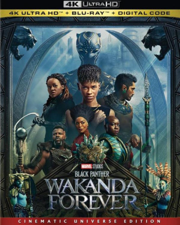 블랙 팬서 와칸다 포에버 (초고화질) Black Panther Wakanda Forever,2022.1080p.KOR.FHDR…